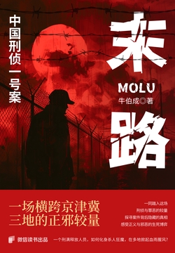 末路:中国刑侦一号案