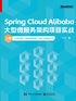 Spring Cloud Alibaba大型微服务架构项目实战（上册）