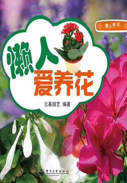 懒人爱养花