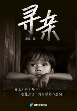 寻亲：十个被拐卖者的漫长回家路（微信读书出品）