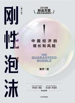刚性泡沫（增订版）：中国经济的增长和风险