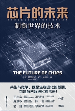 芯片的未来：制衡世界的技术