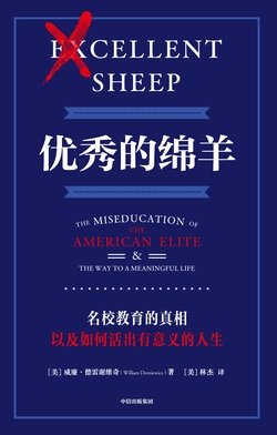 优秀的绵羊