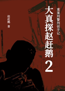 大真探赵赶鹅2：重案刑警刑侦手记
